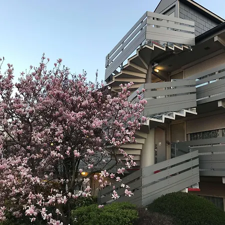 Campanile Nature - Cergy